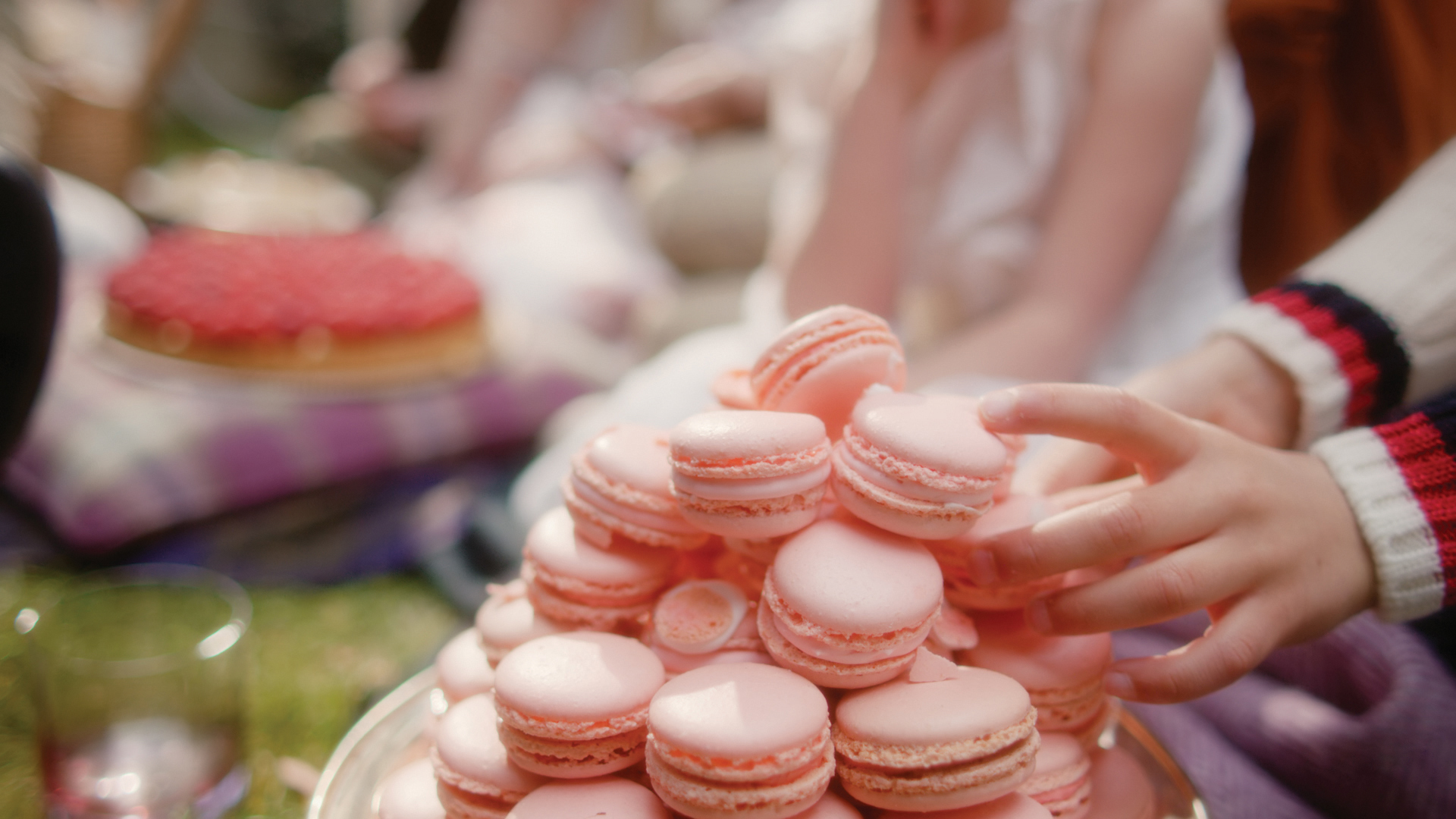 tlszx-stay-offer-birthday-delights.jpg
