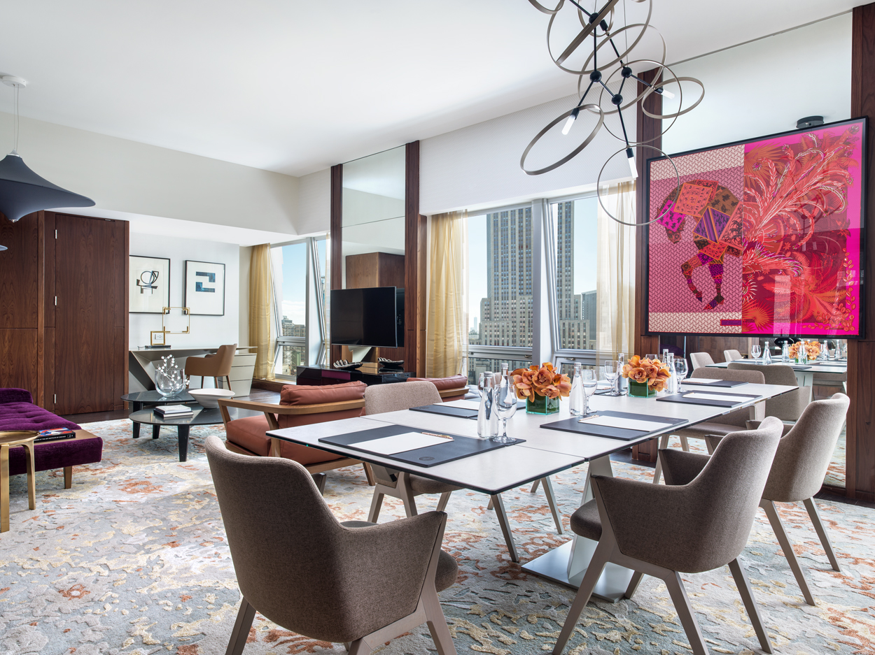 TLNYC_Roche Bobois Suite